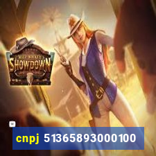 cnpj 51365893000100